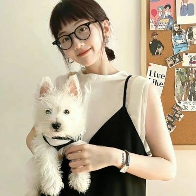 功夫小兔侠